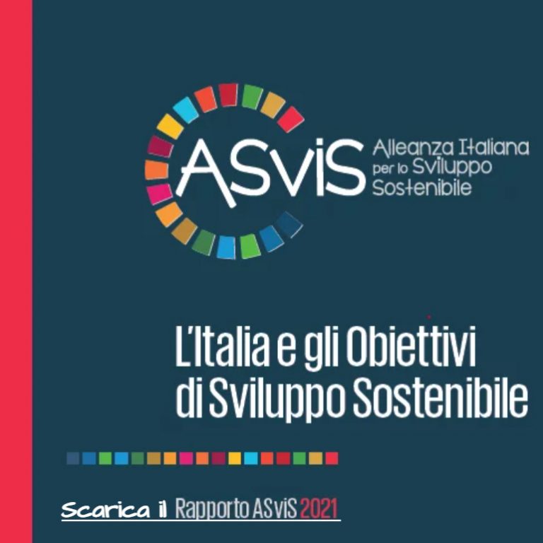 agenda onu asvis